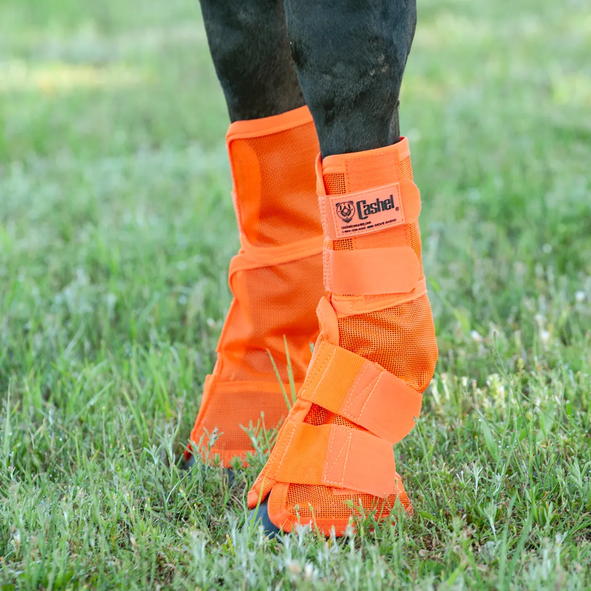 Cashel Crusader Leg Protection