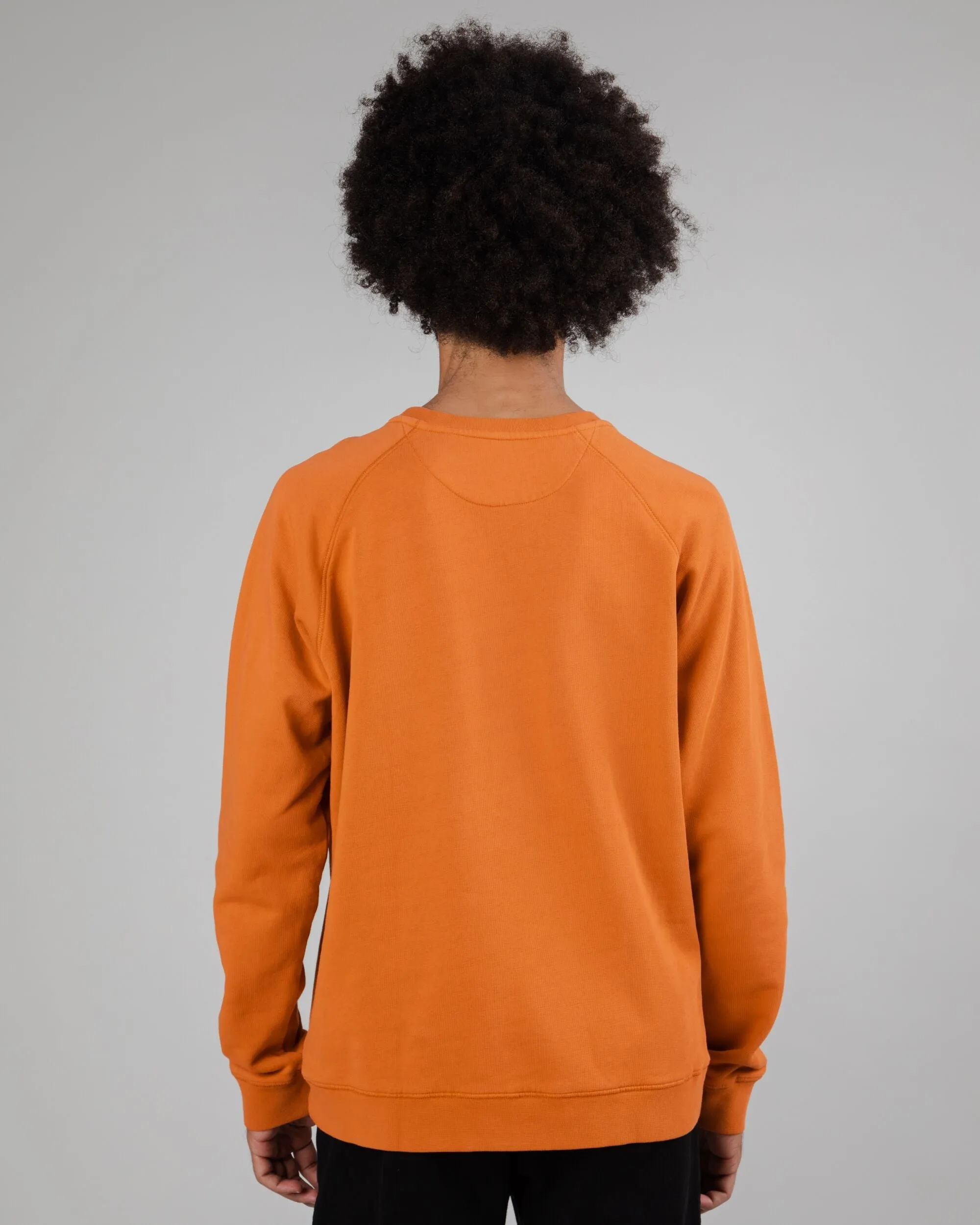 Dragon Ball Krillin Sweatshirt Spices