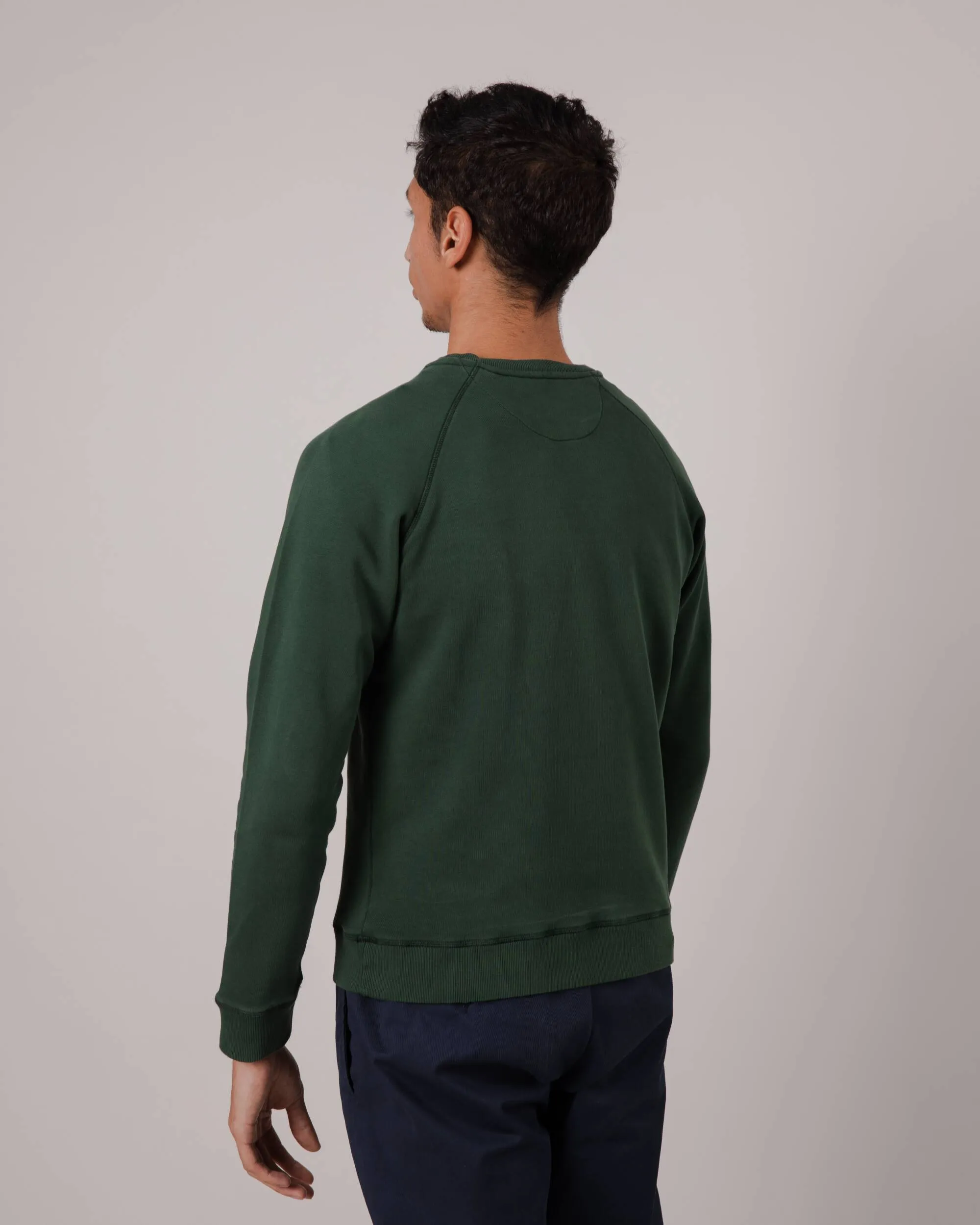 Peanuts Woodstock Sweatshirt Green