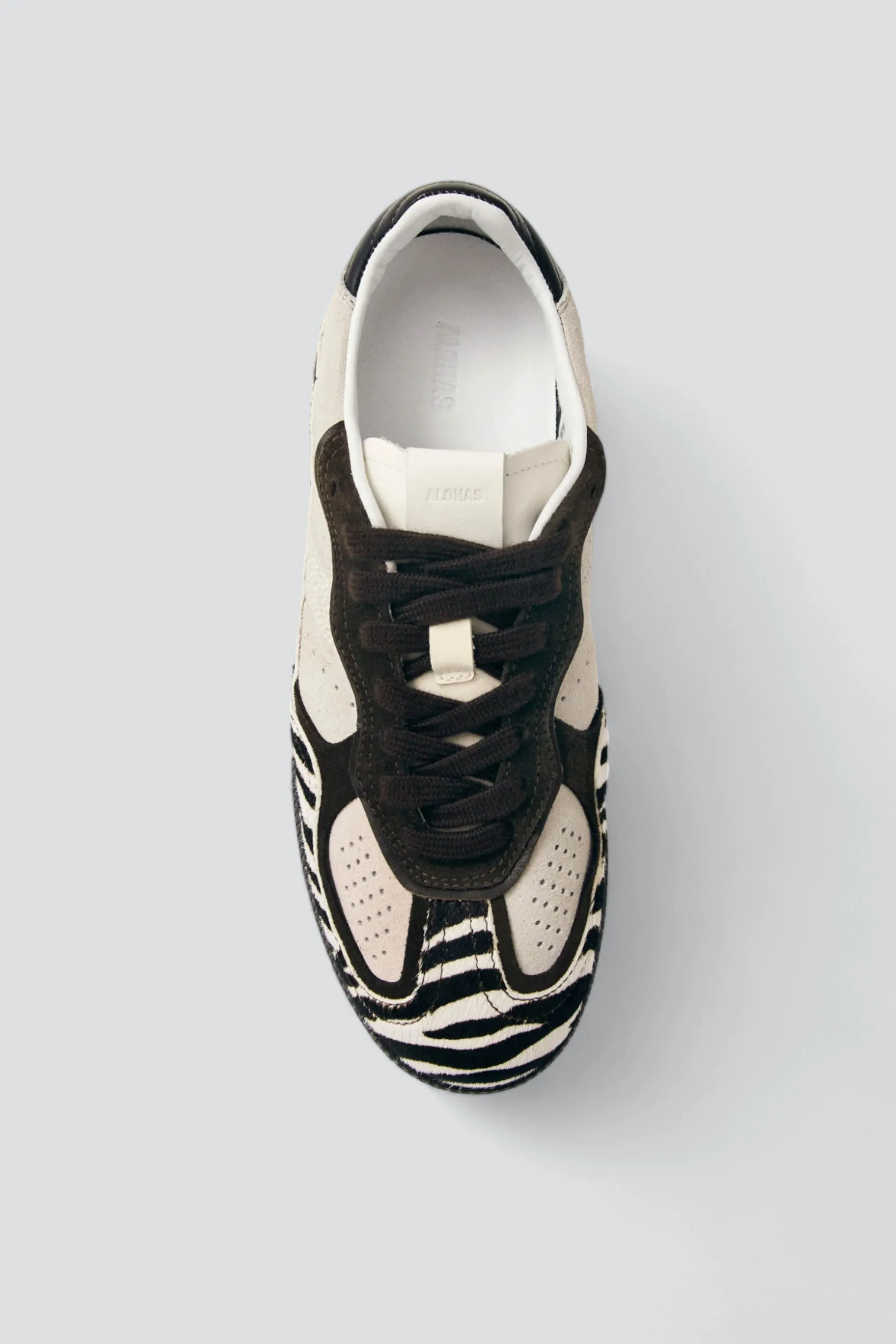 Zebra Brown Tb.490 Leather Sneakers